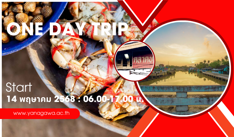 One day trip